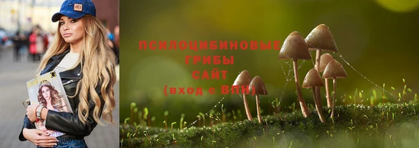 спайс Алексеевка