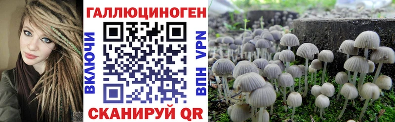 kraken ONION  купить  сайты  Батайск  Галлюциногенные грибы прущие грибы 